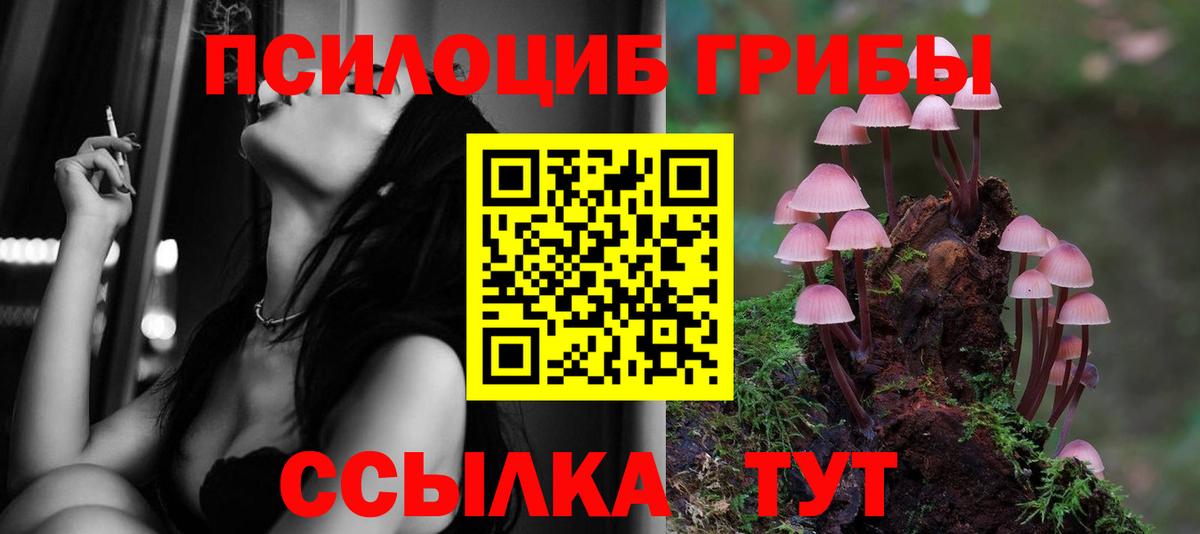Вольск  Галлюциногенные грибы Cubensis  Вход с VPN 
